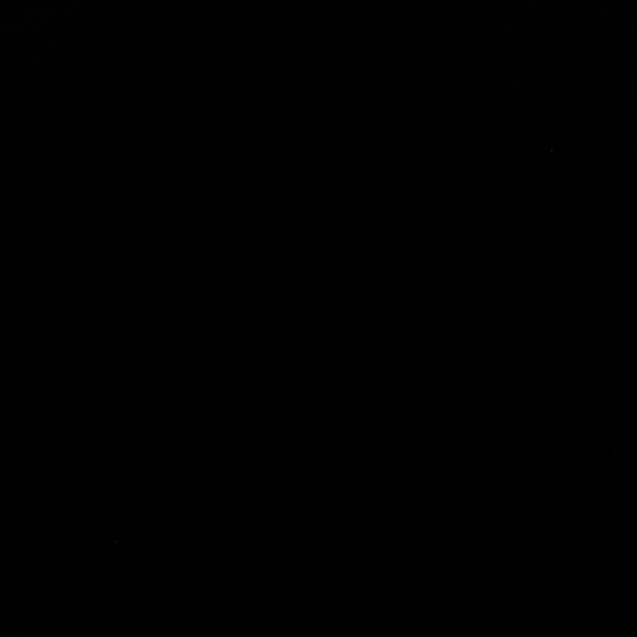 crown of thorns Accessories - 💕